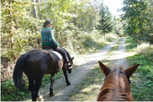 Horse Tours